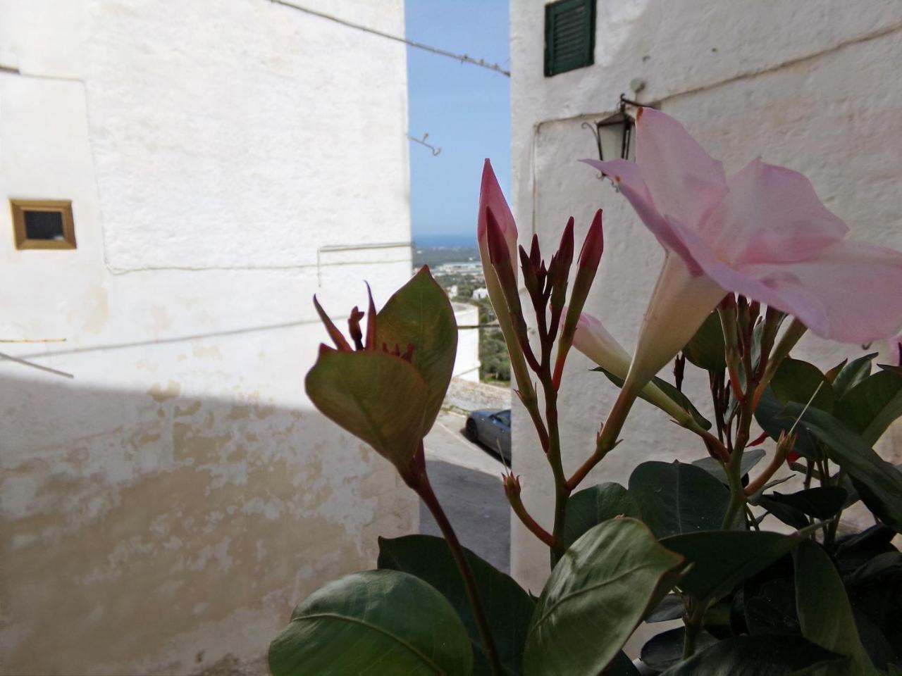 Le Tre Volte Villa ออสตูนี ภายนอก รูปภาพ